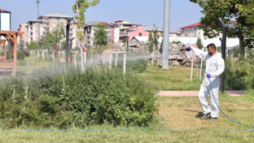 Ağrı'da haşere ile mücadele devam ediyor