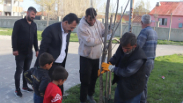 Bahar Ayı Bakım, Onarım ve Hizmet Çalışmaları Başladı