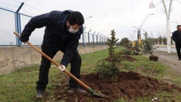 Başkan Sayan “Ağrı Nefes Alacak”