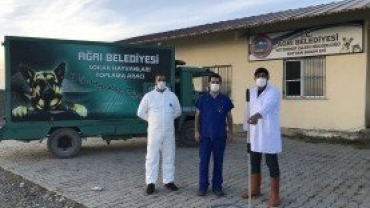 Belediyemiz Sokak Hayvanlarına Yönelik Çalışmalarına Devam Ediyor