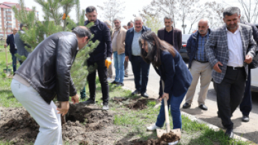 eş başkanlarımızın da katılımıyla gerçekleşen fidan dikimi etkinliği