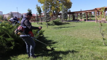 AĞRI BELEDİYESİ PARK VE BAHÇELER MÜDÜRLÜĞÜ ÇİM BİÇME ÇALIŞMALARINI SÜRDÜRÜYOR