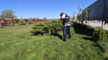 AĞRI BELEDİYESİ PARK VE BAHÇELER MÜDÜRLÜĞÜ ÇİM BİÇME ÇALIŞMALARINI SÜRDÜRÜYOR