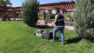 AĞRI BELEDİYESİ PARK VE BAHÇELER MÜDÜRLÜĞÜ ÇİM BİÇME ÇALIŞMALARINI SÜRDÜRÜYOR