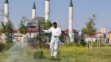 Belediyemiz Kent Genelinde İlaçlama Çalışması Yapıyor