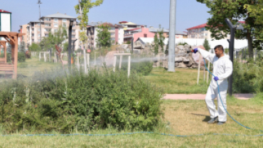 Belediyemiz Kent Genelinde İlaçlama Çalışması Yapıyor