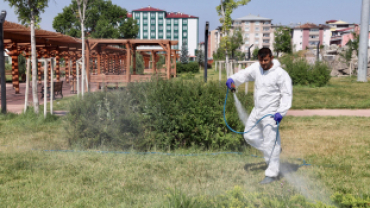 Belediyemiz Kent Genelinde İlaçlama Çalışması Yapıyor