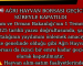  AĞRI HAYVAN BORSASI GEÇİCİ SÜREYLE KAPATILDI