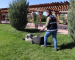 AĞRI BELEDİYESİ PARK VE BAHÇELER MÜDÜRLÜĞÜ ÇİM BİÇME ÇALIŞMALARINI SÜRDÜRÜYOR